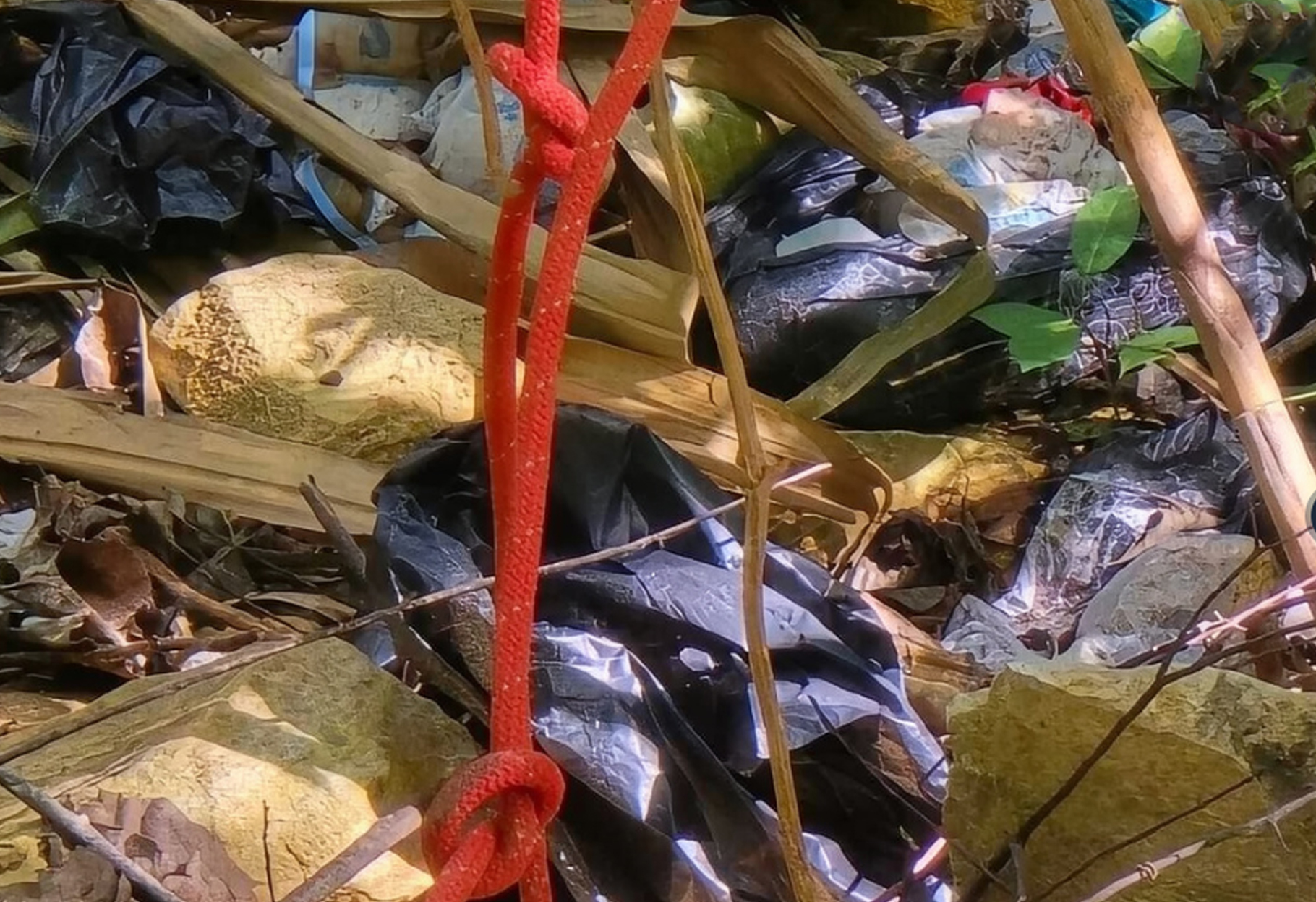 ENCUENTRAN CABEZA DE MUJER ASESINADA Y CARBONIZADA EN LA ANGOSTURA